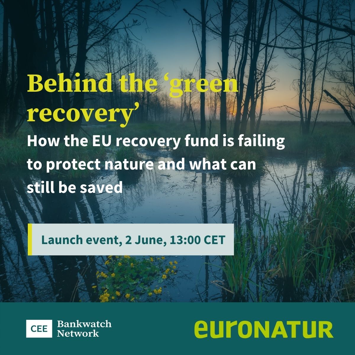 EuroNaturORG's tweet image. [Coming soon] Our upcoming report will look behind the ‘green recovery’ and expose harmful projects from recovery plans in nine central and eastern European countries.  

Join us for the launch event: bit.ly/3a6uHRP (zoom) 
@ceebankwatch  @zielonasiec @ApostolDyankov