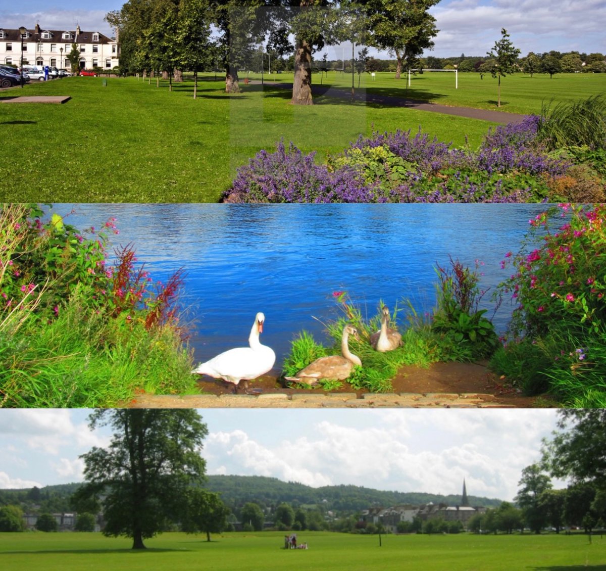 Our beautiful new location for this year 🍃🌸

@ The North Inch, Perth, Scotland.
