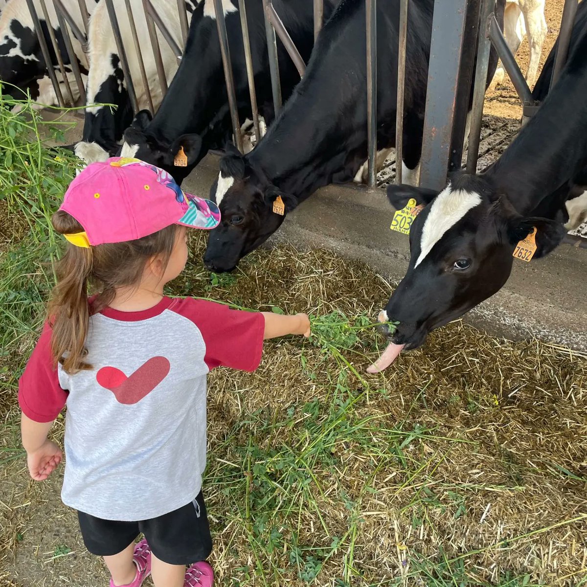 Vedruna Girona tweet media