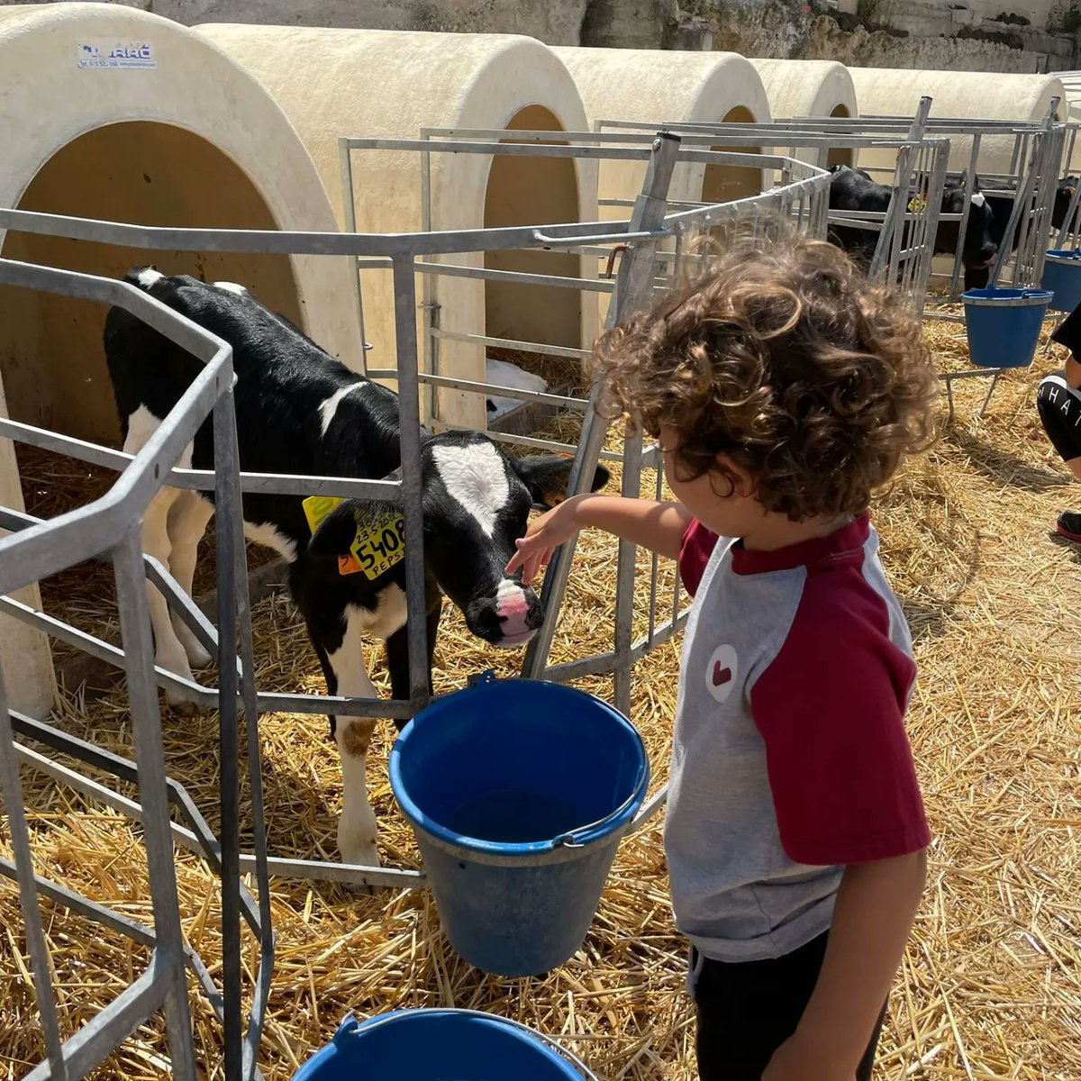 Vedruna Girona tweet media