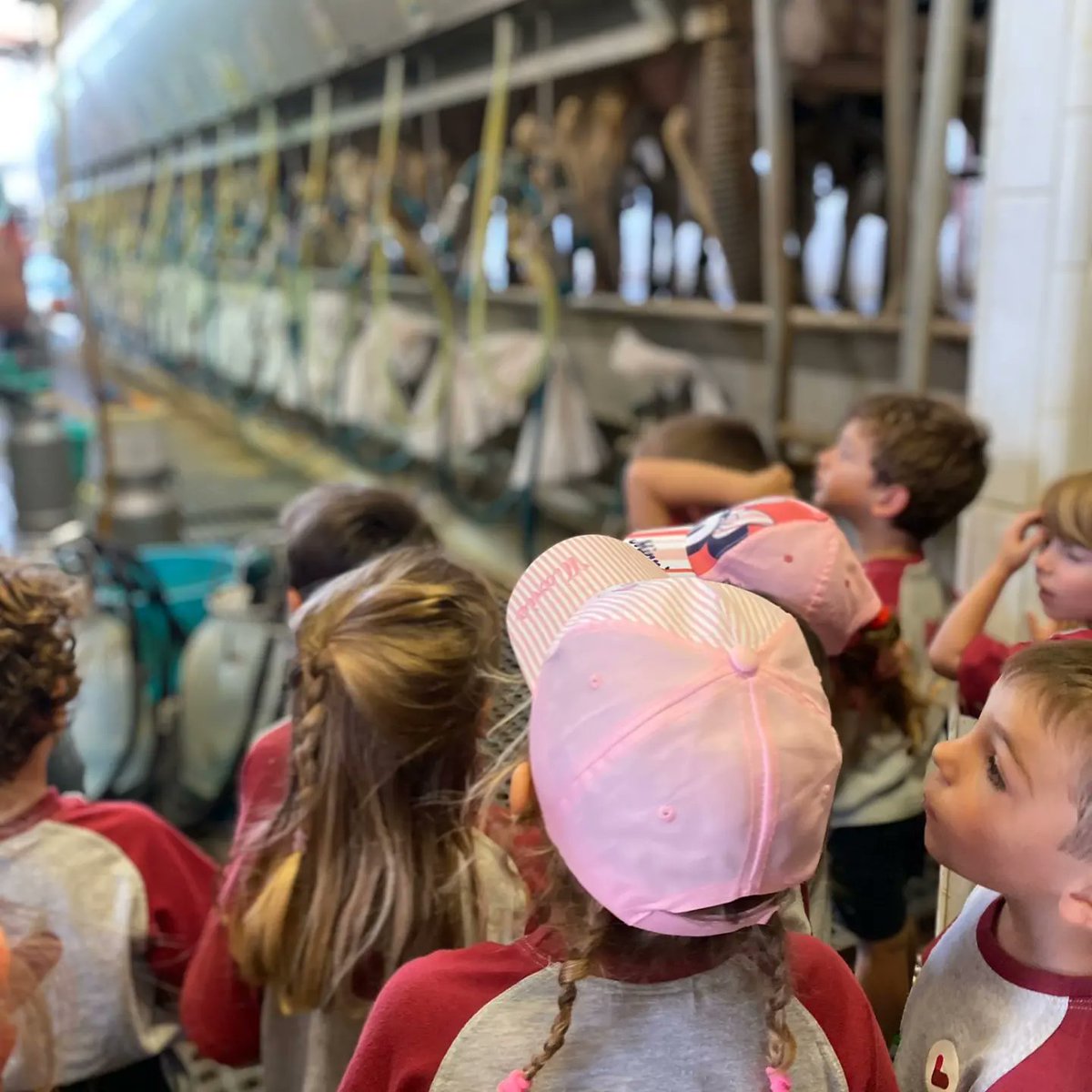 Vedruna Girona tweet media