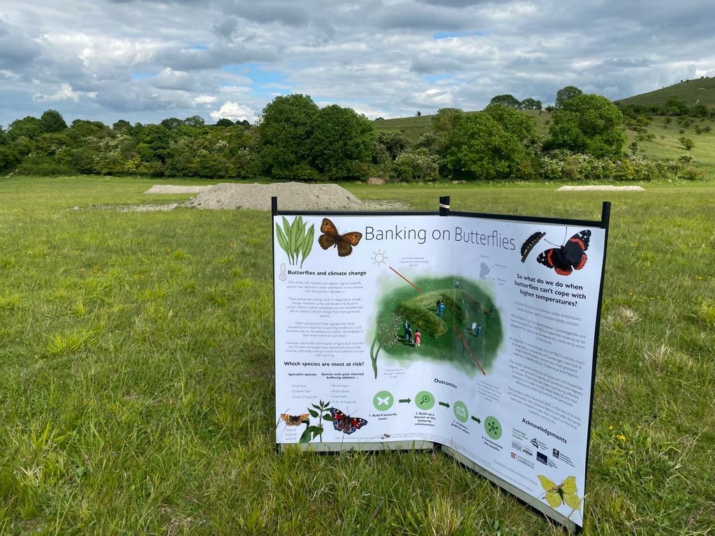 Insect Ecology Group (@insectgroup) on Twitter photo Our 🦋🐛 researchers had a wonderful day at <a href="/wildlifebcn/">The Wildlife Trust for Beds, Cambs & Northants</a> Pegsdon on the weekend talking about the #BankingOnButterflies project!
Thanks to <a href="/Andrew_Bladon/">Andrew Bladon</a> <a href="/MatthewPHayes/">Matt Hayes</a> <a href="/esme_ashe/">Dr Esme Ashe-Jepson</a> <a href="/omylouse/">Gwen H 🦇🦋🌼🐾</a>! And to @Evie_Crouch for the beautiful poster! 🎨 Our 🦋🐛 researchers had a wonderful day at <a href="/wildlifebcn/">The Wildlife Trust for Beds, Cambs & Northants</a> Pegsdon on the weekend talking about the #BankingOnButterflies project!
Thanks to <a href="/Andrew_Bladon/">Andrew Bladon</a> <a href="/MatthewPHayes/">Matt Hayes</a> <a href="/esme_ashe/">Dr Esme Ashe-Jepson</a> <a href="/omylouse/">Gwen H 🦇🦋🌼🐾</a>! And to @Evie_Crouch for the beautiful poster! 🎨