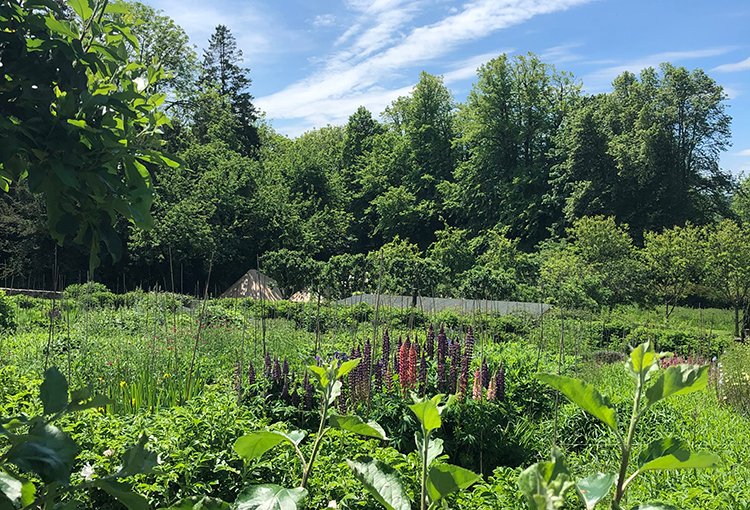 PKG June Newsletter - mailchi.mp/pythousekitche…