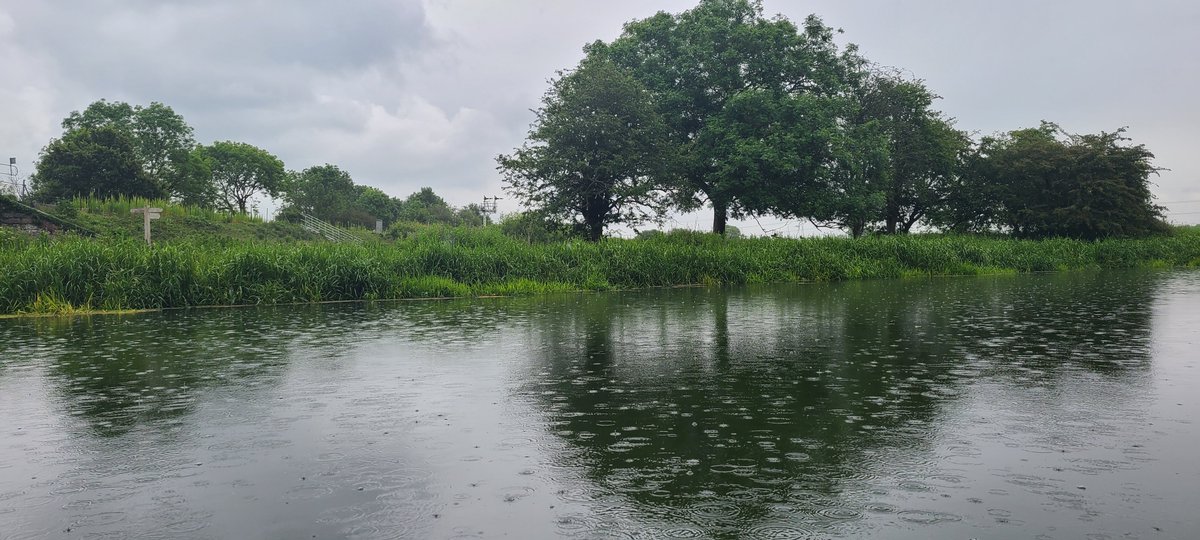 MarkLastMiner's tweet photo. A very wet view from the duck hatch today
🌧🌧🌧🌧🌧🌧🌧
Think we will stay where we are today
👍👍❤💙🐕🐕
Have to keep an eye out for #strongstream Warnings
#rivernene
#boatsthattweet https://t.co/JbrARrZNeN