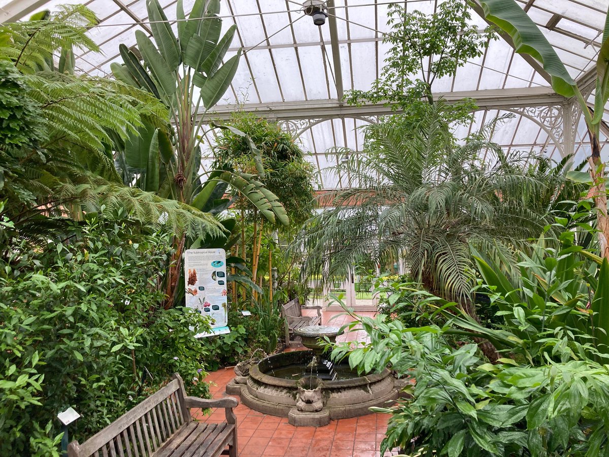 JerichoOrg's tweet photo. Last week our Equiano beneficiaries went on a trip to the @BhamBotanicalGd. Discovering new plants and finding ones from their home countries. 🌴🌺🌻 https://t.co/WZ0myXxDHG