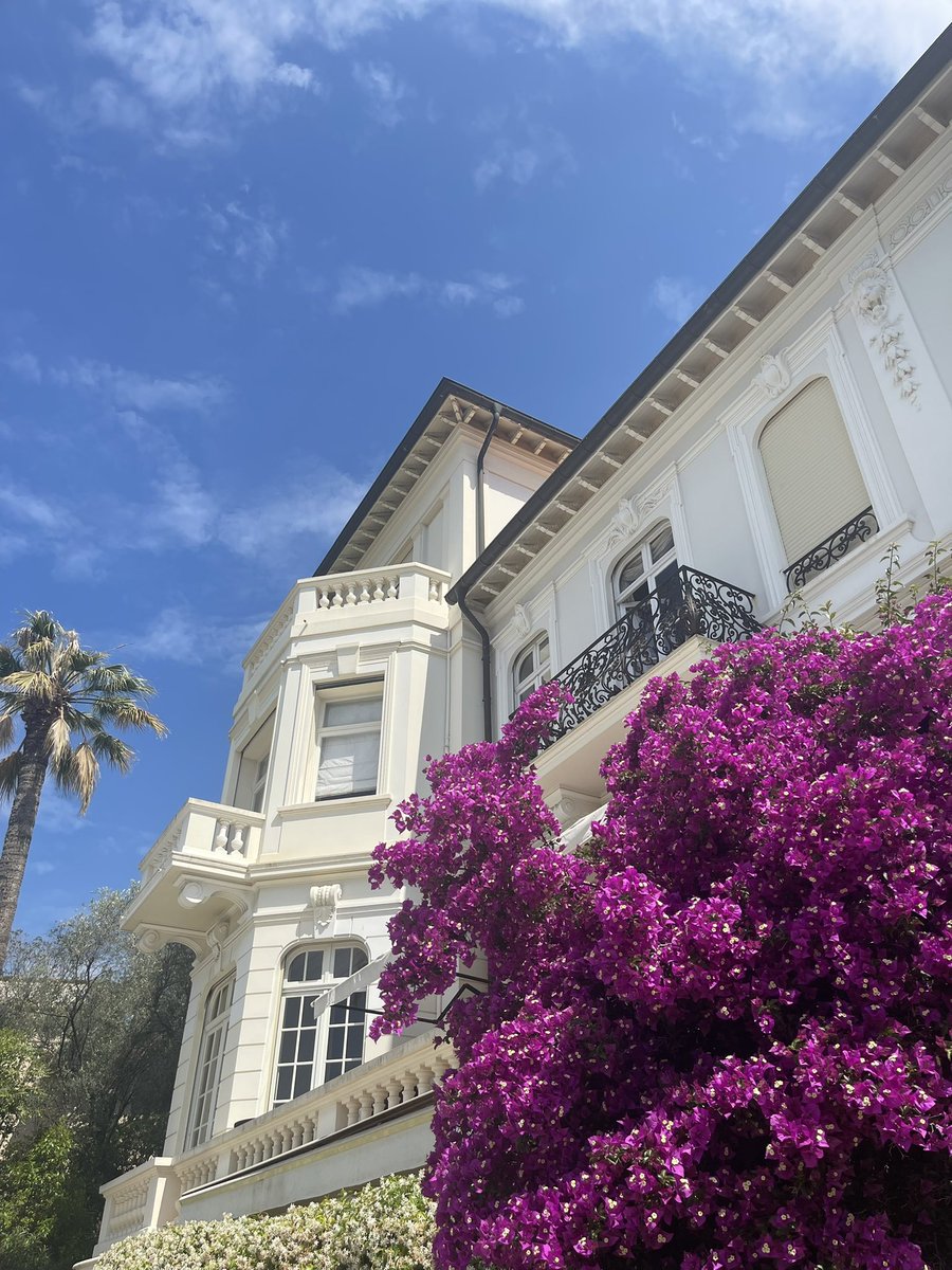 Villalabri's tweet photo. Lunch caught trying to escape @Villalabri #Cannes https://t.co/1QdOER8Y6c