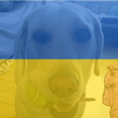 FlagifyUkraine's tweet photo. Free Ukraine Avatar @grumpyoldmale1 https://t.co/xqObE0a6wZ