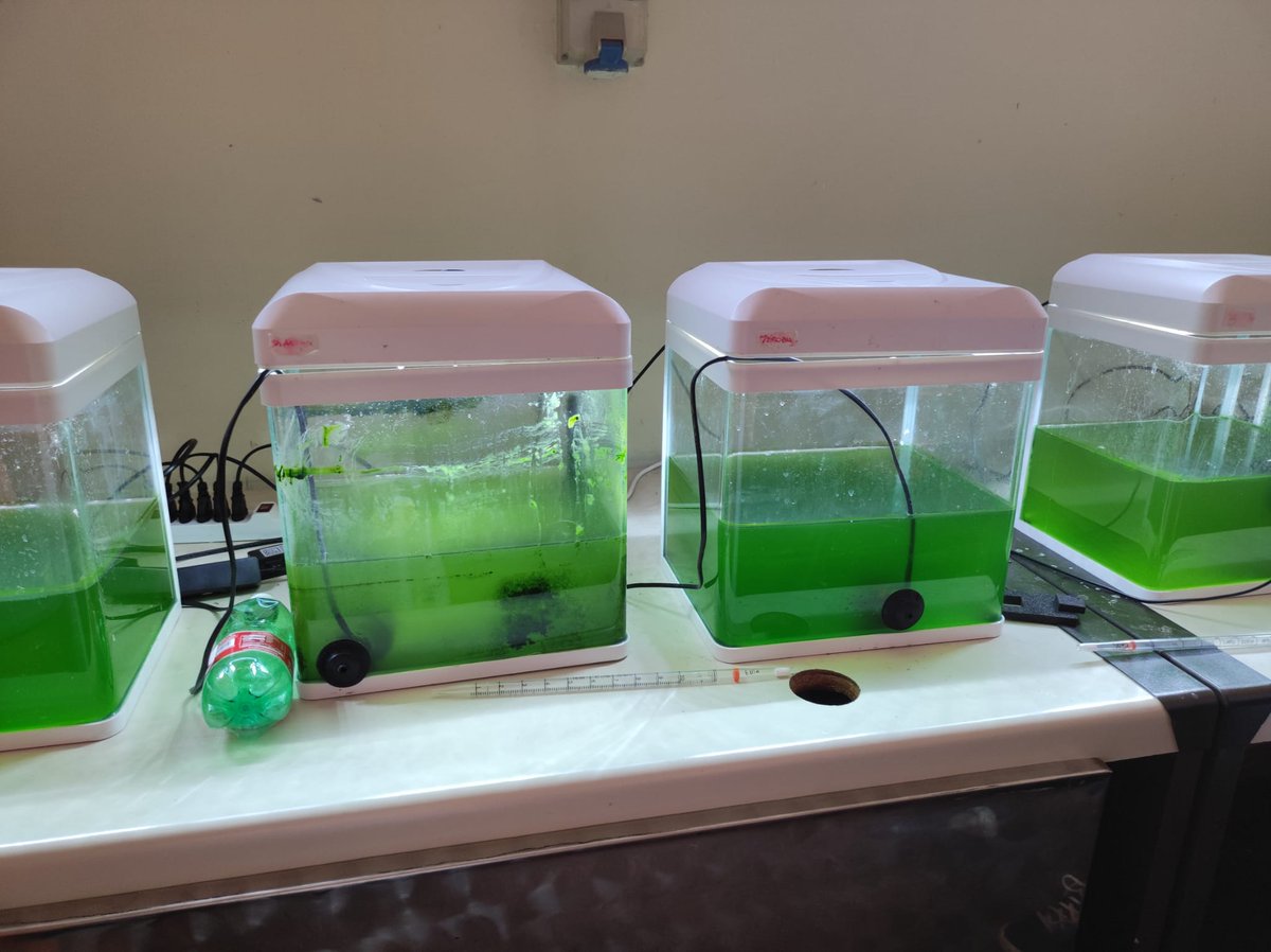 iesmhernandez's tweet photo. JOB SHADOWING EN ILS CHARLES DARWIN EN ROMA
Con la temática de Healthy high school, hemos conocido la forma de trabajar en el instituto y visto proyectos tan interesantes con la depuración del agua a través de las algas. https://t.co/h2cdvx30jd
