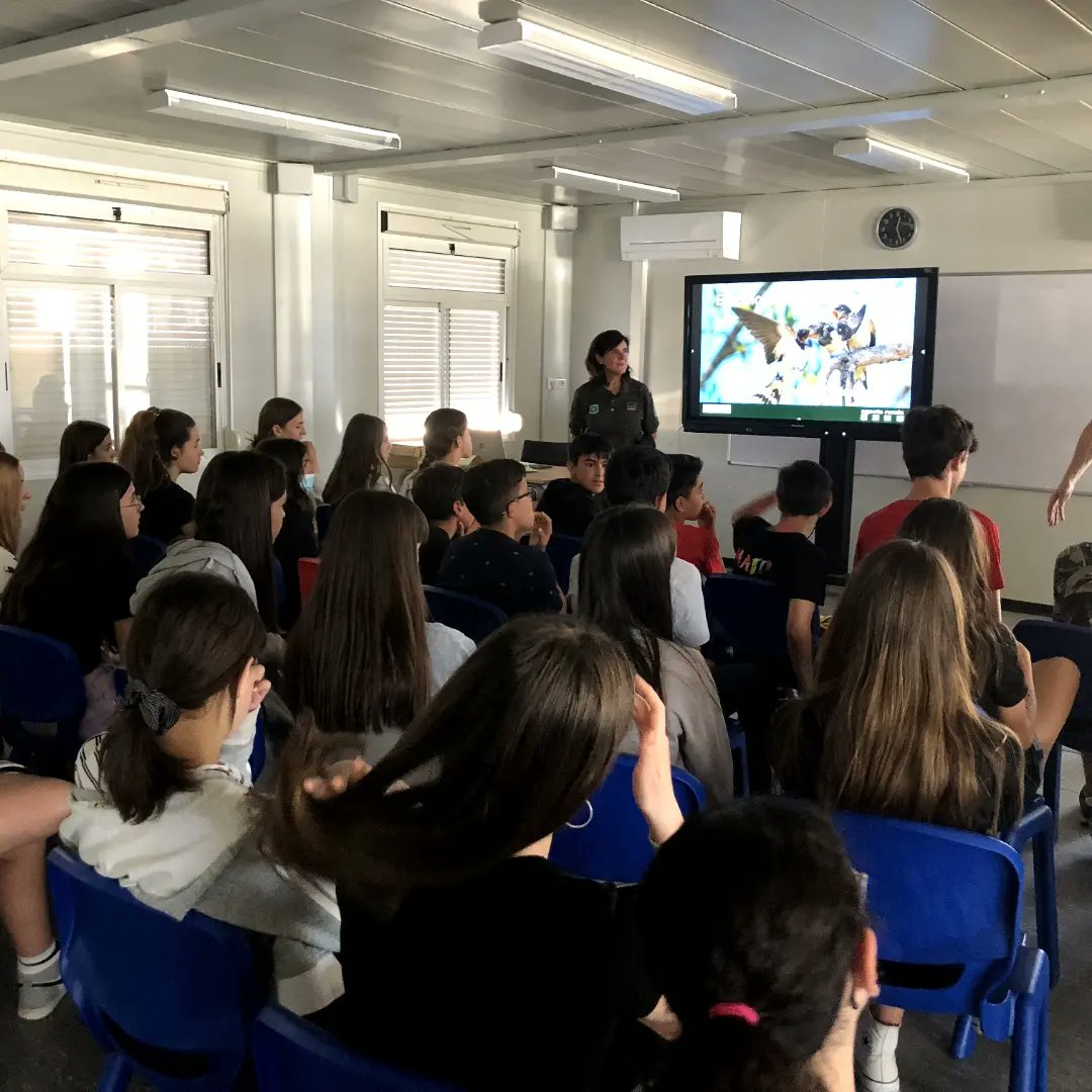 Institut d'Alpicat tweet media