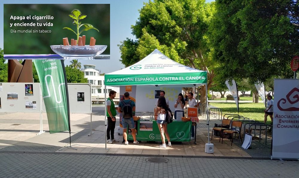 BibliotecaUA's tweet photo. Ven a la carpa frente a la Biblioteca General donde te cambiarán un cigarrillo por una pieza de fruta en el #DiaMundialSinTabaco #diasinhumo #UAsaludable @ceua_ua @estua_ua @CAE_UA @union_ua @DEEPSUA @_Alumni_UA @FaCienciasSalud https://t.co/LAaFtzaDZI