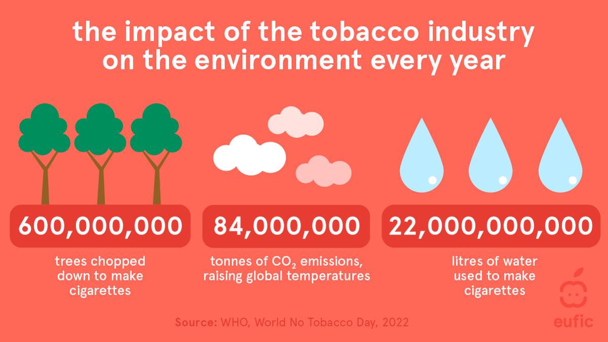 European Food Information Council (EUFIC) tweet media
