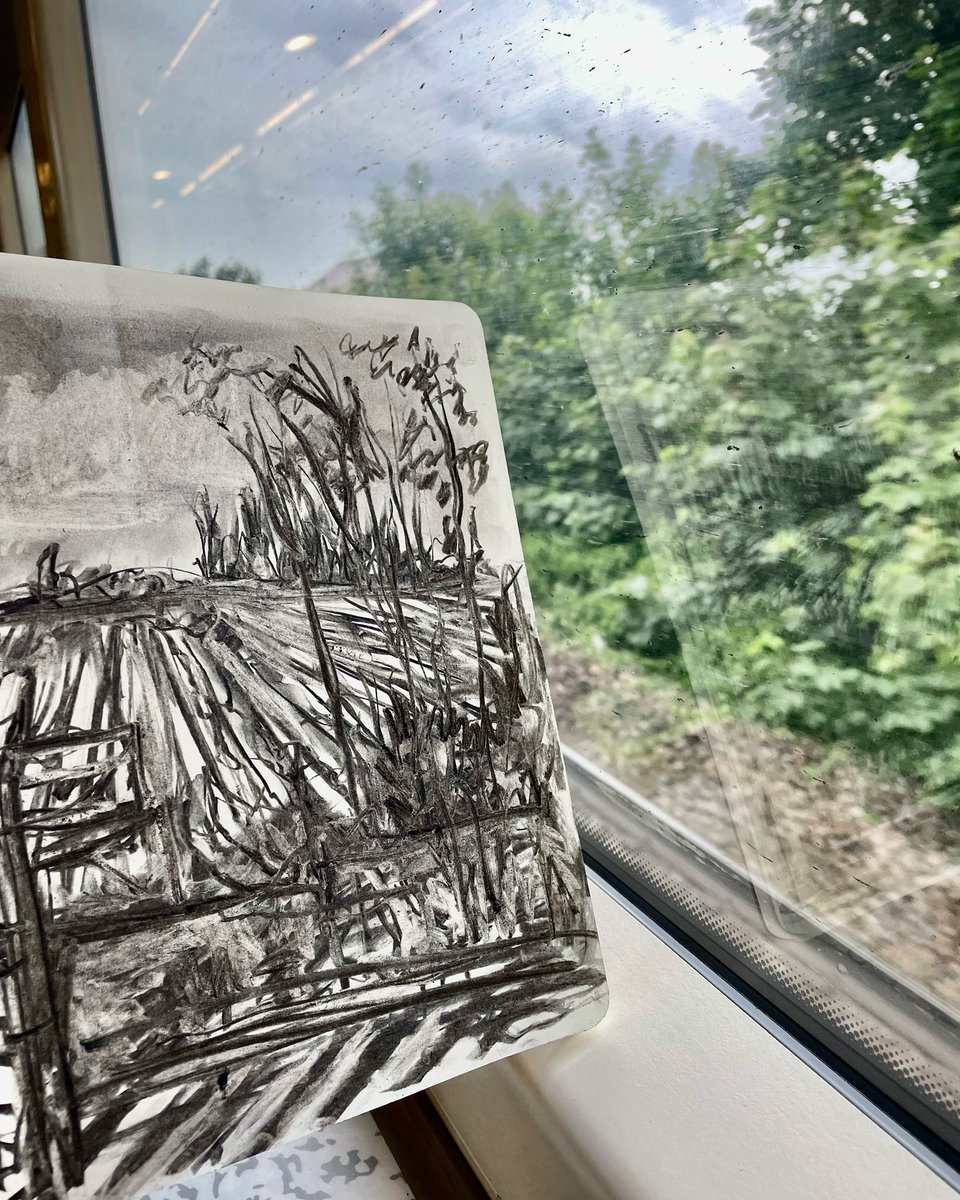LizAtkin's tweet photo. #Journeydrawings to combat #anxiety and #skinpicking. Whitstable to Ramsgate @Se_Railway
#publictransport #mentalhealth #dermatillomania #recoverystrategies #BFRB #kentartist #drawingonthetrain https://t.co/AGA8fv6xvz