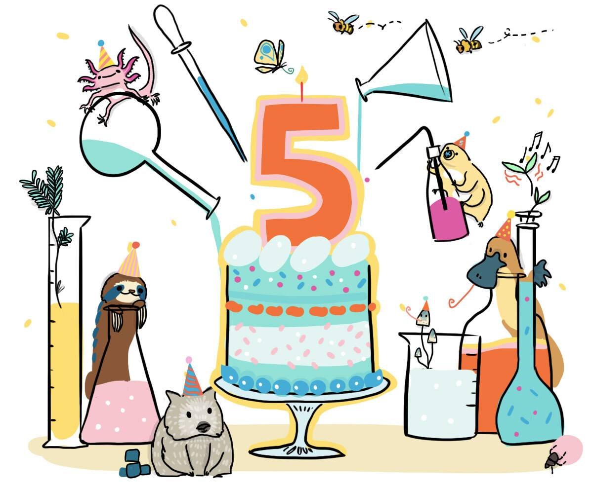 Aujourd'hui est un jour spécial… Sciencetips fête son 5e anniversaire 🥳 C'est donc l'occasion de vous remercier pour votre fidélité, vos encouragements et vos critiques constructives. Ils nous sont précieux pour continuer à rendre les sciences accessibles au plus grand nombre !
