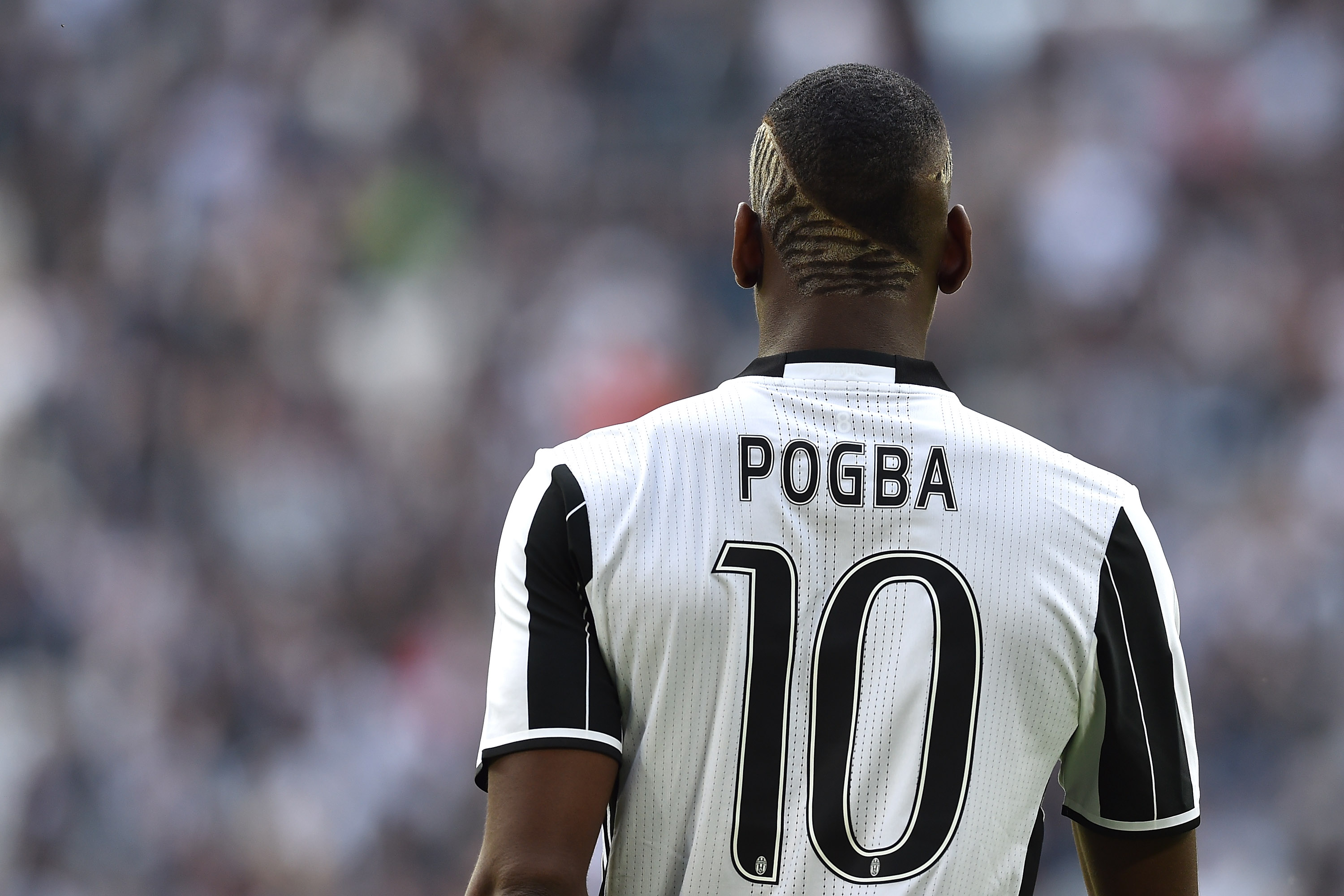 Kingdom of Juventus on X: 