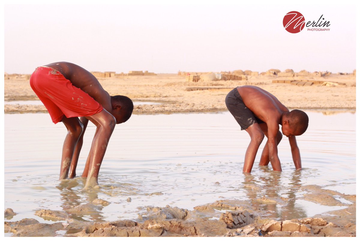 MerlinMoptika's tweet photo. [ Jeunes pêcheurs ] 🐟
▫️
#documentaryphotography #peche #jeunes #poisson #Mopti #merlinphotography
📍Mopti, Mali 🇲🇱 
📸Merlin https://t.co/eY3tFgdV6s