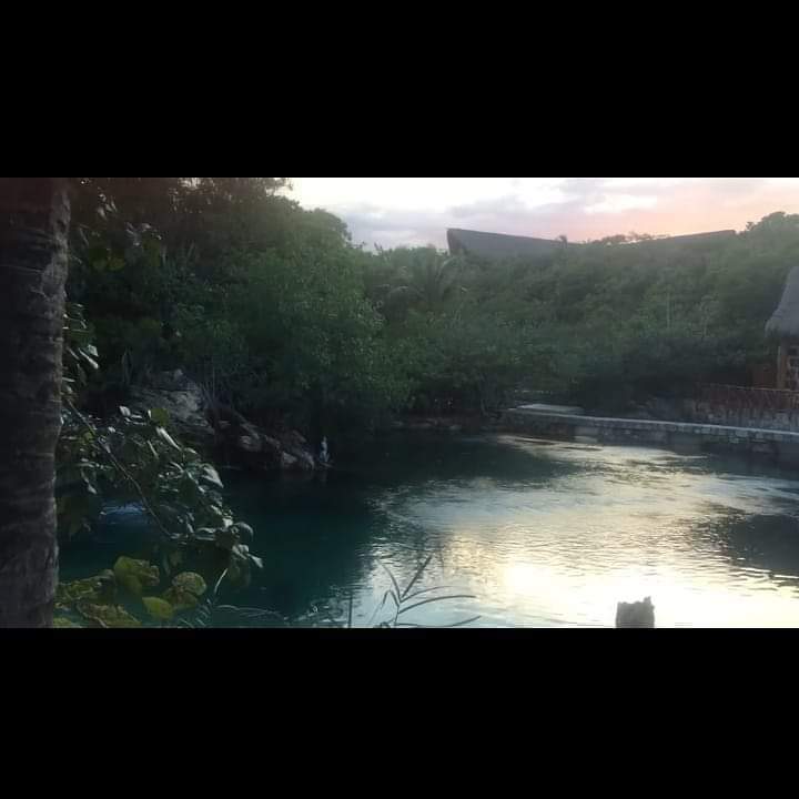Reintegraryrev1's tweet photo. Recorrido por Yucatán y Quintana Roo parte I y II 🌿

Ya puedes disfrutar de los ultimos videos con este asombroso recorrido en #Mexico

 ¡Visita el link y Suscribete! 

https://t.co/NZDKcsVvWj

#ReIntegraryReVivir #YouTube #recorrido #turismo #yucantan #quintanaroo #relax #viaje https://t.co/HUGK9O9Elr