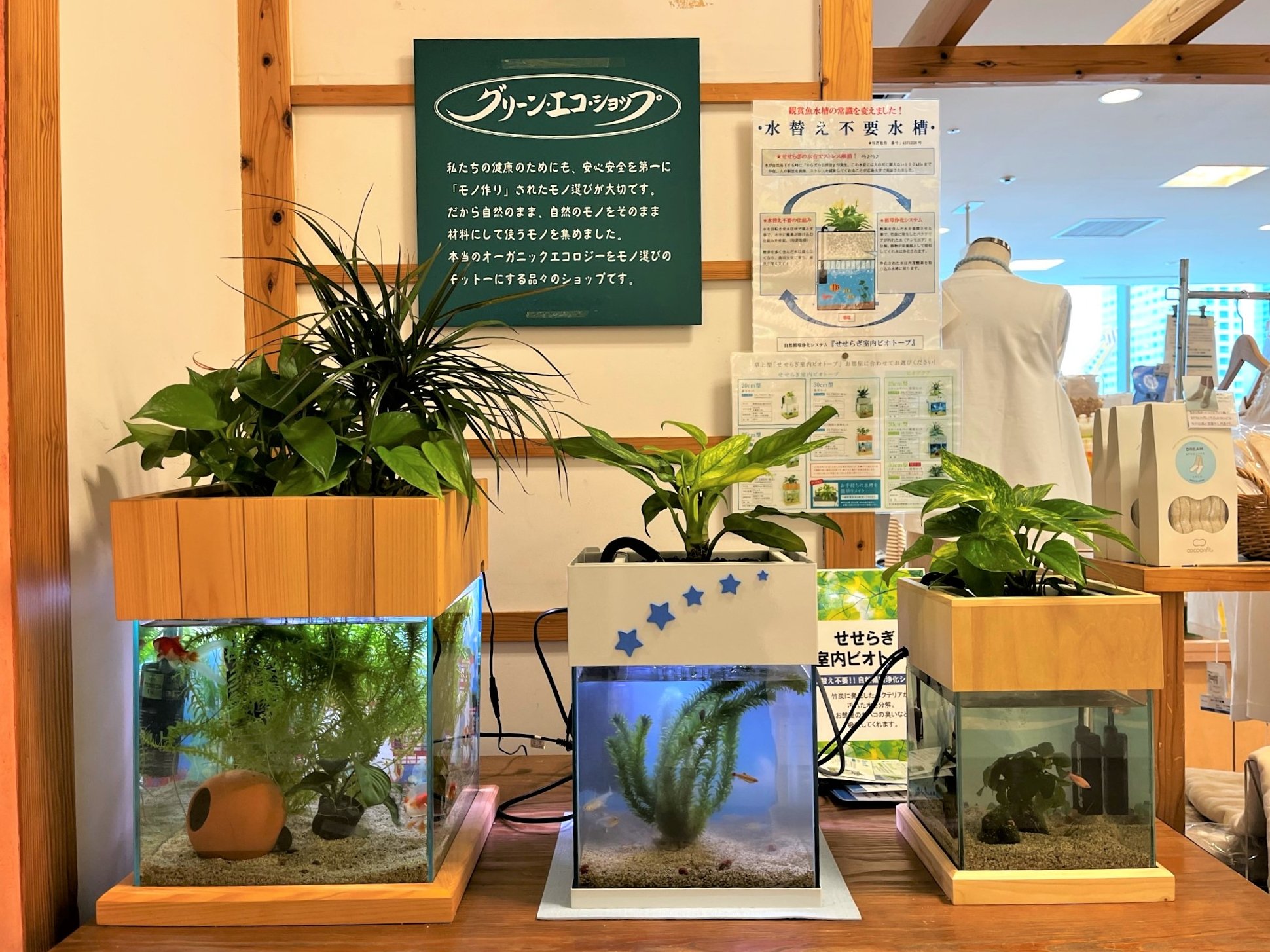 せせらぎビオトープ 西条庭園 水換え不要水槽 Saijyou Teien Twitter