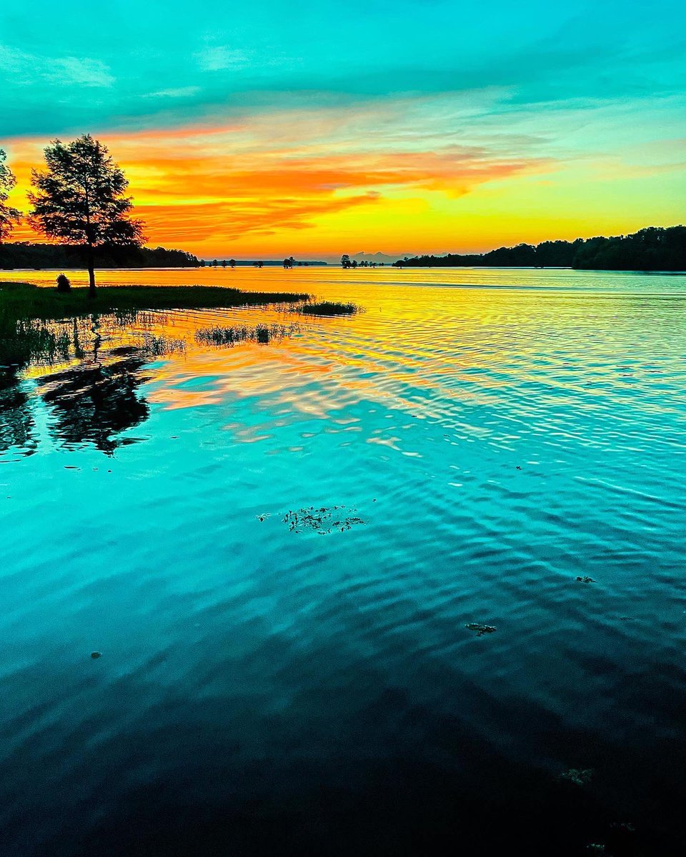 the3pE's tweet photo. inner peace 🦋🧡

IG; creativemindvisualz https://t.co/TKbjuAWKbJ