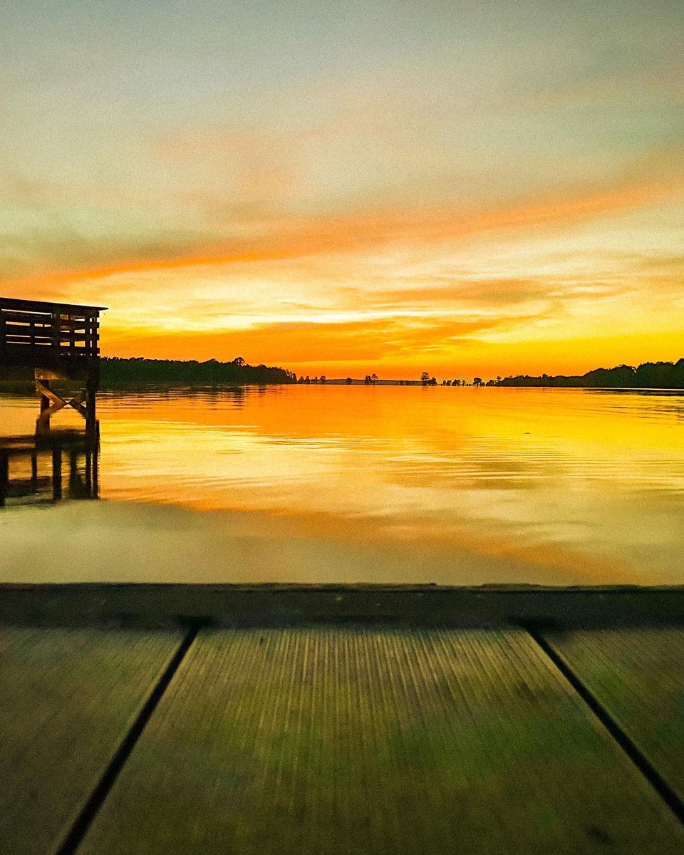the3pE's tweet photo. inner peace 🦋🧡

IG; creativemindvisualz https://t.co/TKbjuAWKbJ