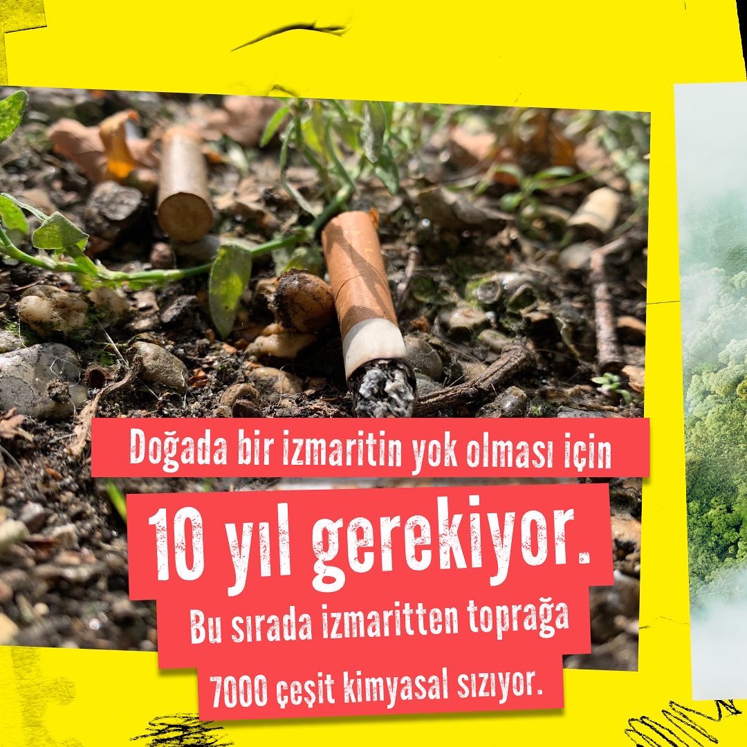 Prof. Dr. Toker Ergüder (@tokererguder) on Twitter photo Sigara izmaritlerinde 50 tanesi kanserojen 7000 zehirli kimyasal madde vardır.
Zehirli atık kategorisinde toplanmalıdır.
Sigara firmaları zehirli atık toplanması işlemlerinin masraflarını belediyelere ödemelidir.
<a href="/TBB/">Türkiye Belediyeler Birliği / 1945</a> <a href="/sagliklikentler/">SKB</a> <a href="/FatmaSahin/">Fatma Şahin</a> <a href="/murat_kurum/">Murat KURUM</a> <a href="/TCTarim/">T.C. Tarım ve Orman Bakanlığı</a> Sigara izmaritlerinde 50 tanesi kanserojen 7000 zehirli kimyasal madde vardır.
Zehirli atık kategorisinde toplanmalıdır.
Sigara firmaları zehirli atık toplanması işlemlerinin masraflarını belediyelere ödemelidir.
<a href="/TBB/">Türkiye Belediyeler Birliği / 1945</a> <a href="/sagliklikentler/">SKB</a> <a href="/FatmaSahin/">Fatma Şahin</a> <a href="/murat_kurum/">Murat KURUM</a> <a href="/TCTarim/">T.C. Tarım ve Orman Bakanlığı</a>