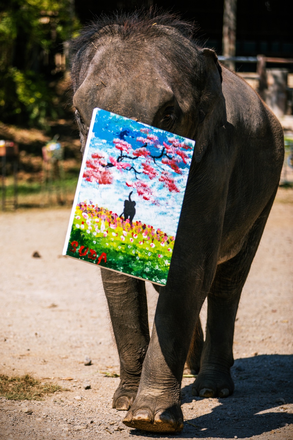 Elephant Art Online (elephantartcm) / Twitter