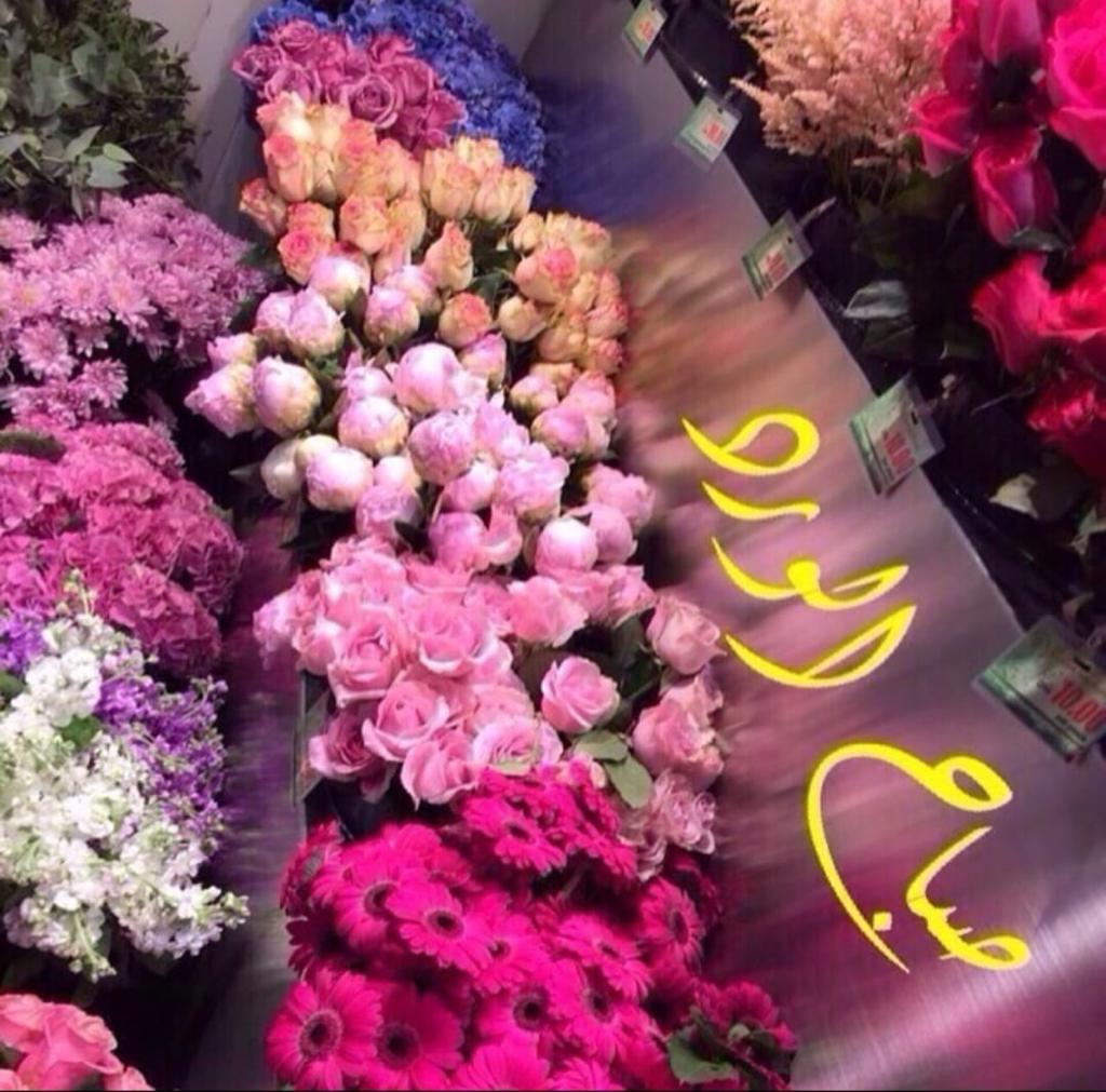 صباح الخير والنوير