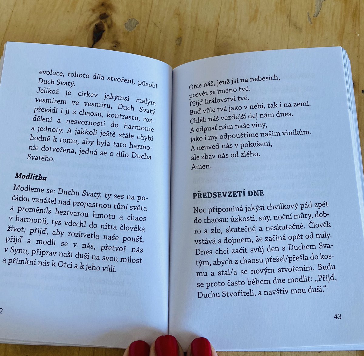 LenkaDolezalov3's tweet photo. 🌿 Den 5.: ...prosit Ducha sv., aby provanul chaos mého života, aby vnesl světlo do mých temnot... 🌵🌺 Přijď aby rozkvetla naše poušť... #letnice https://t.co/FF5ltz5PdD