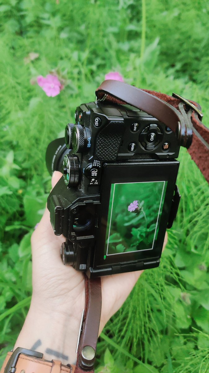 Rania Rönntoft tweet media