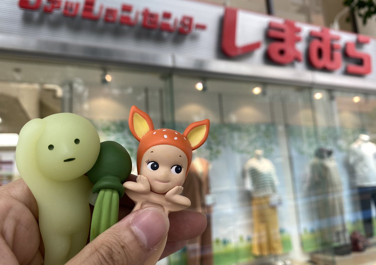 ソニーエンジェル 取り扱い 店舗 ドリームズ公式 ソニーエンジェル 