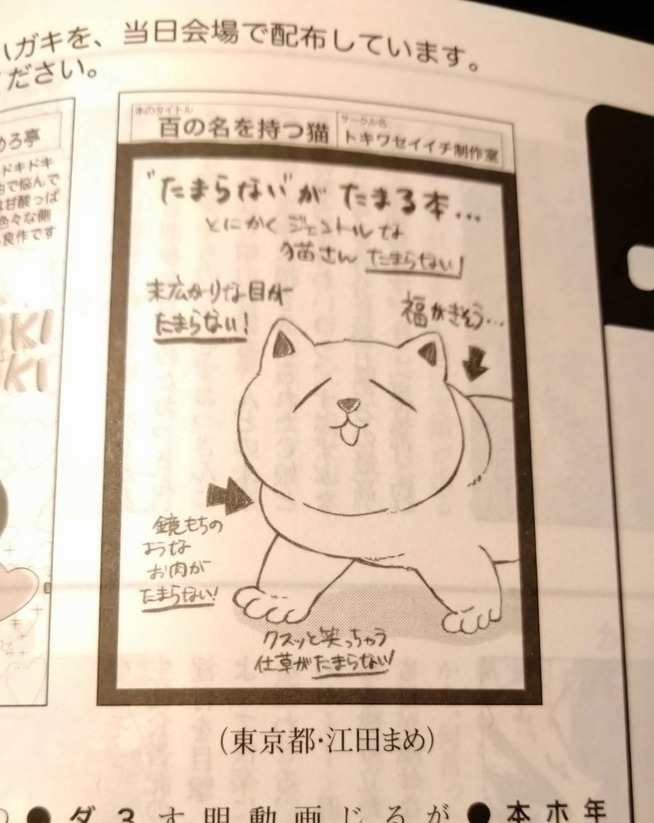 いただきもの。
一枚目は賞を祝ってくれた先生、先輩、同僚からもらった色紙と、同僚の子供からのかわいい絵葉書(ぺちり)。二枚目はティアズマガジンの猫マンガレビュー。三枚目はコミックガーデン読者ページから。嬉しい。大事に保存してます。