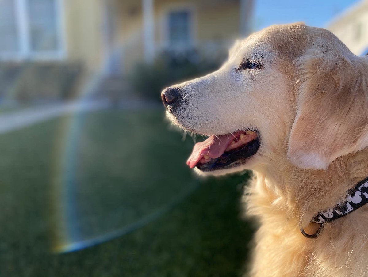 Jason ∞ tweet media