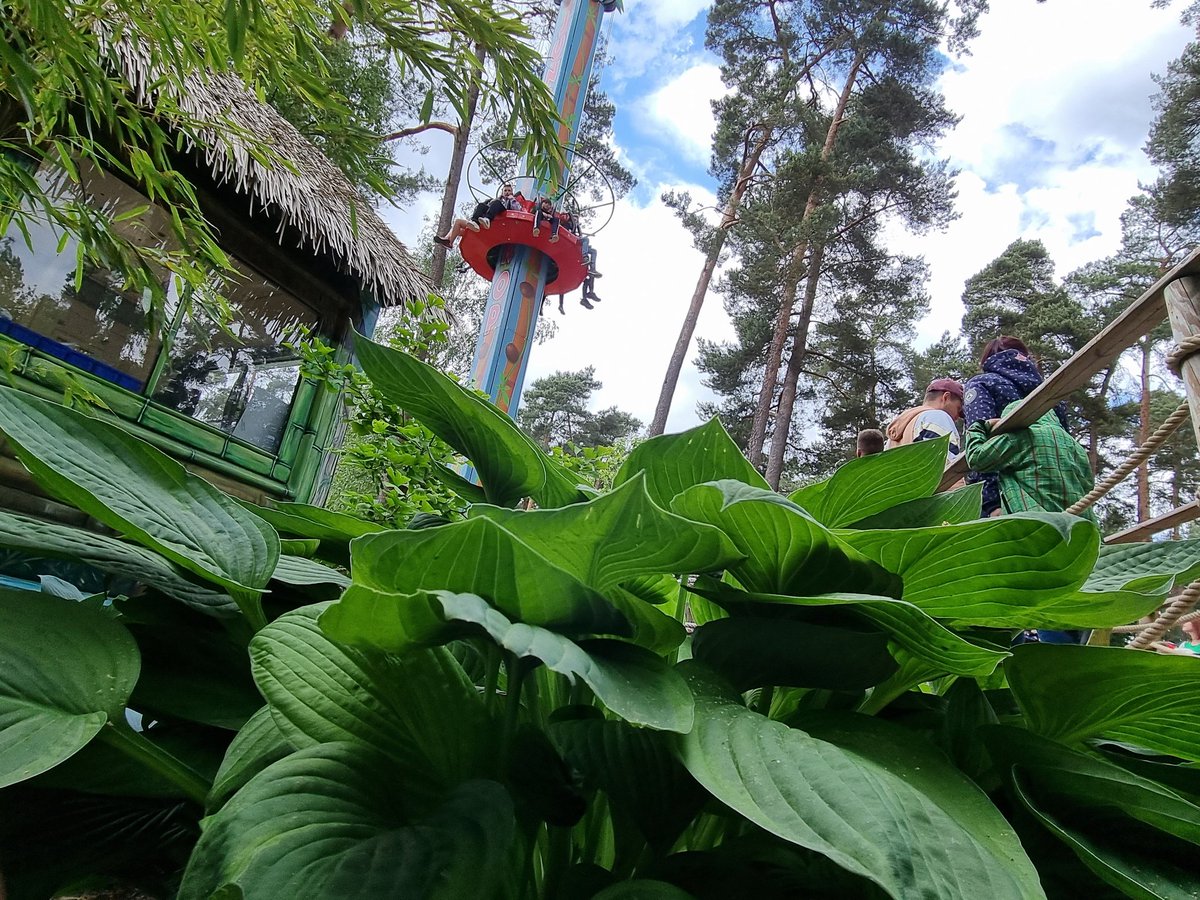 Ab Donnerstag sind wir wieder für euch da 😀. Dann heißt es wieder Action, Fun und Abenteuer für die ganze Familie 😁

#freizeitland #geiselwind #freizeitlandmoment