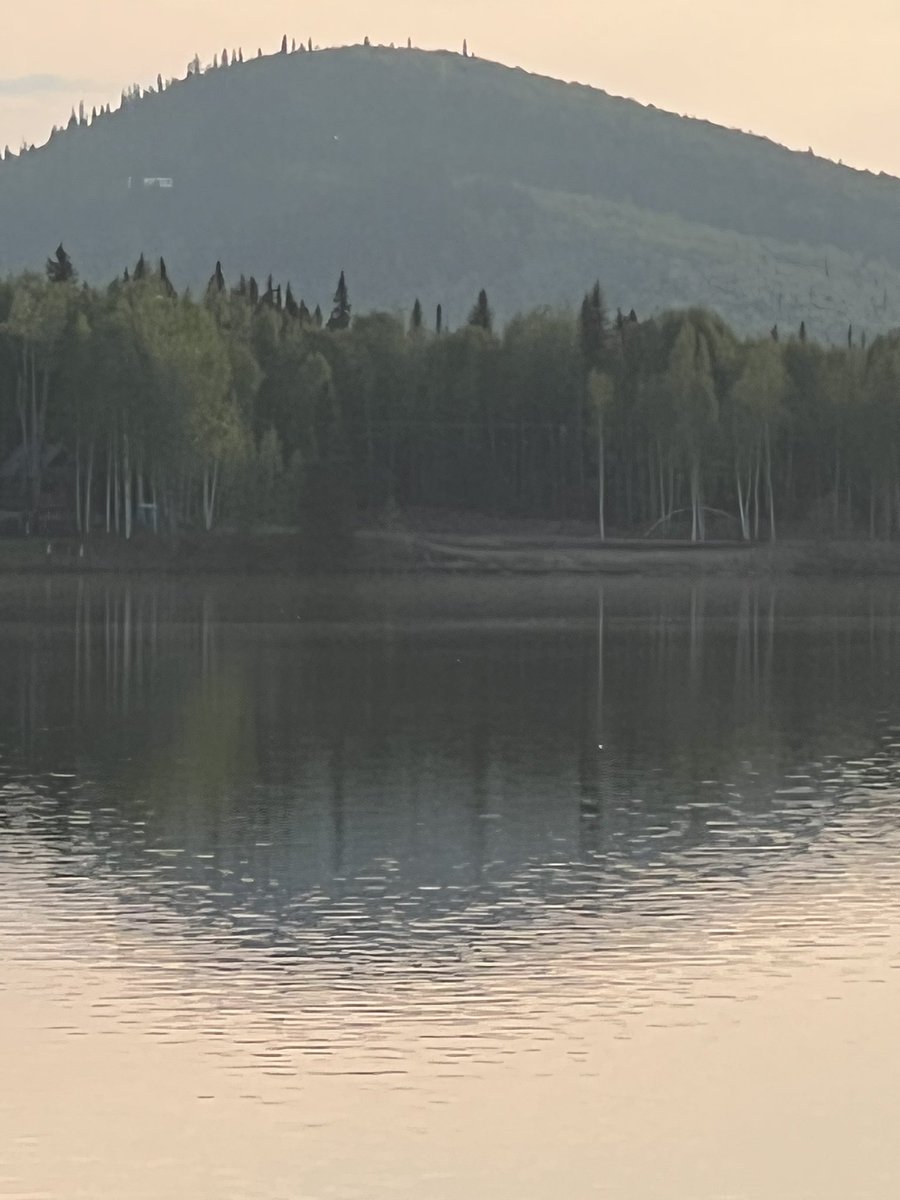 BarbaraPaskvan's tweet photo. Peaceful evening! #birchlakealaska https://t.co/6FAPZyM2W2