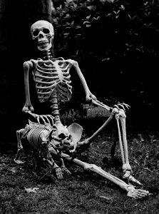 Eric M. Miller tweet media