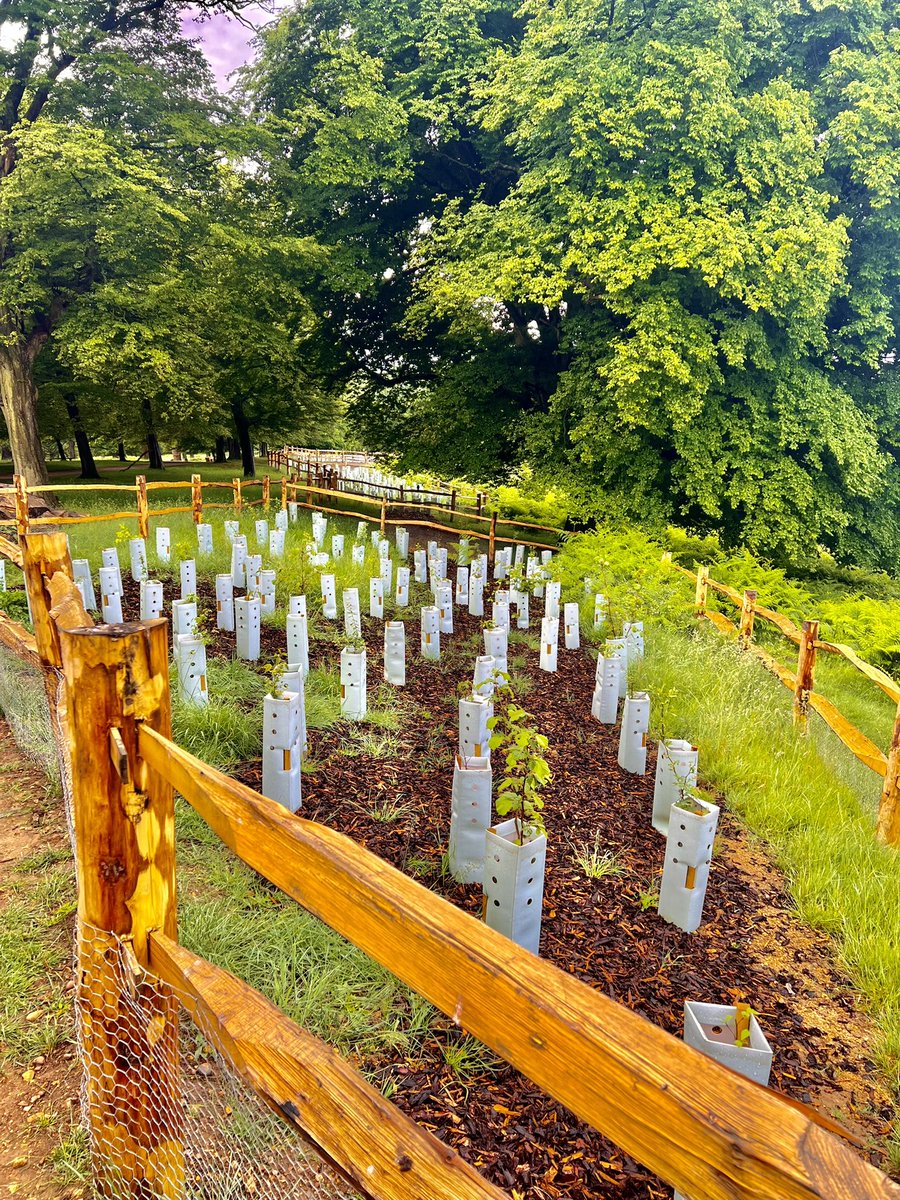 DrPeterILVES's tweet photo. What madness is this?
As I drew closer I thought these were grave stones
But what joy
They were new life
Humans/our world get so confused…
And yet the opportunity to create rather than take life is always there
I know what I choose
Build hope
Build futures
Choose life
🌻 https://t.co/M2TPuKDYK7