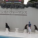 ツイートに含まれる画像