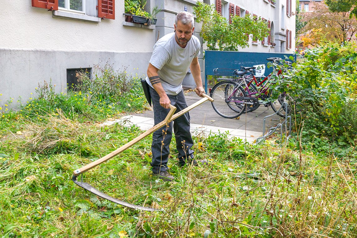 In den letzten Jahren haben wir viel investiert, heute blühen unsere Aussenräume: Magerwiesen, Totholz, Steinhaufen für Tiere in unseren Siedlungen. #biodiversity #artenvielfalt #naturelovers