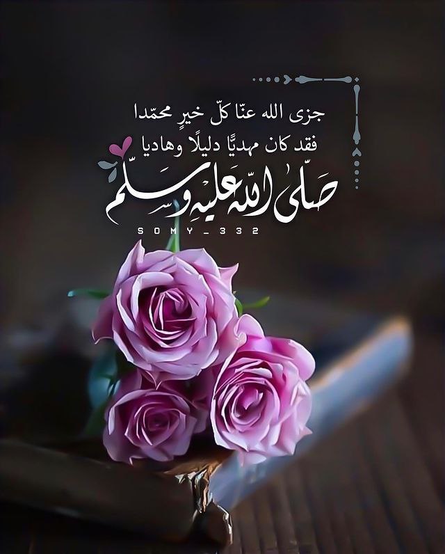 may1234zy's tweet photo. @ZUnuSoyL1SJ2OVJ @Lira_alfitouri @LamiaMohymen @mullakadir @Tariq3000_obaid @mohsen_alhashmi @HOSSAMSOLIMAN @anahorrah @mashmoosha15 @AliAli32081370 @LohmomA @Nader050505 @kholef_osama @cutesofe @Lamia_Mohymen @suzan_hamid @314We @gKnkAyYg6t7BR70 @alheddar @kp8888kp @malmesawa1399 https://t.co/ZzbKY30qtR