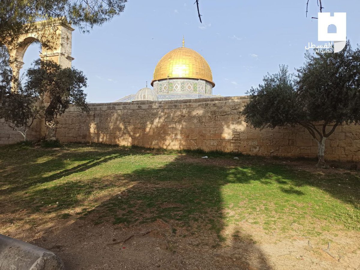 ab0mustafa98's tweet photo. صباح الخير 🇵🇸❤️ https://t.co/a573Vkznqp