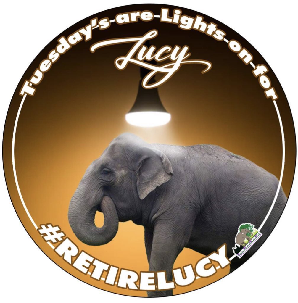 LEAPyeg's tweet photo. We have been #TurningBackTime to 👀 into the Lucy archives but today we ask you to turn on the lights for #Lucy. 
@AmarjeetSohiYEG and @CityofEdmonton have kept Lucy in the dark for far 2long, now we promise to put #Lucy firmly in the spotlight💡
#TurnALightOn4Lucy 
Show us yr 💡 https://t.co/TCgB0vJHXa