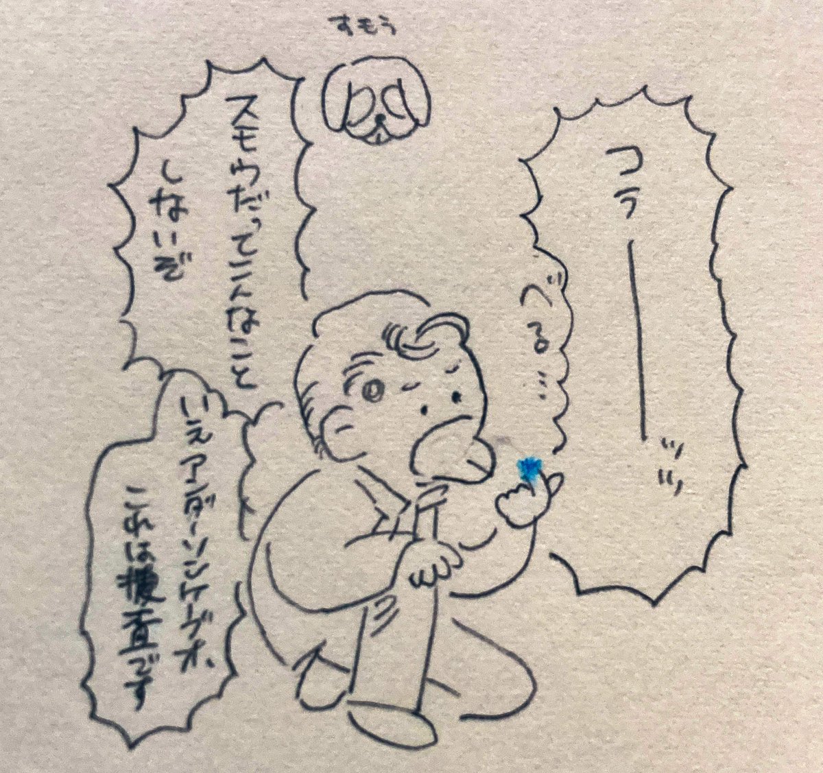 実は青 