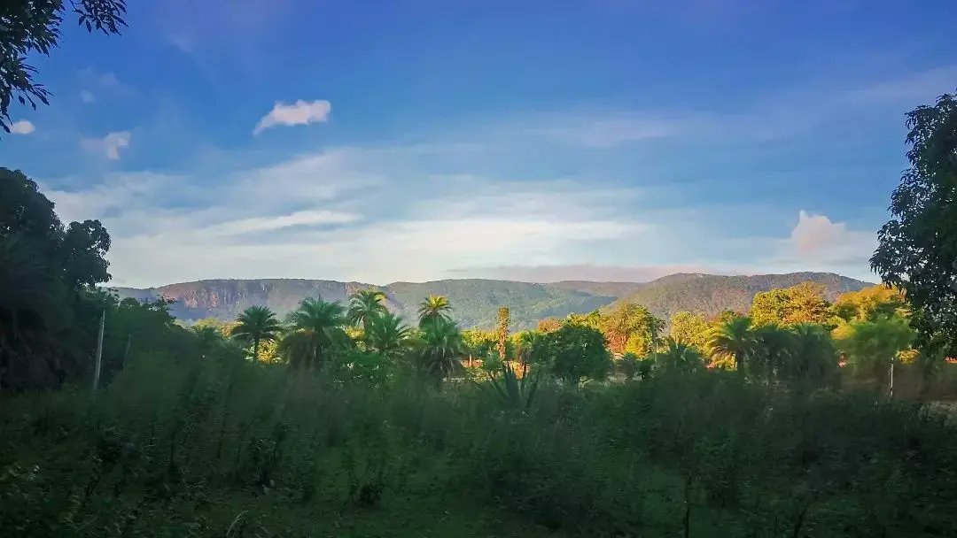 cfor36garh's tweet photo. Tulasi Mountain Koleng ❤️
Exploring with: @dk_bastar_wala
#mountains #koleng #hills #bastar #jagdalpur #darbha https://t.co/myLgKosdjf