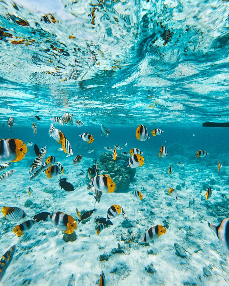 FarzanehSalmani's tweet photo. Happy Tuesday Everyone 💙🌊
#GoodMorning #NaturePhotography https://t.co/GAfX11yVkB