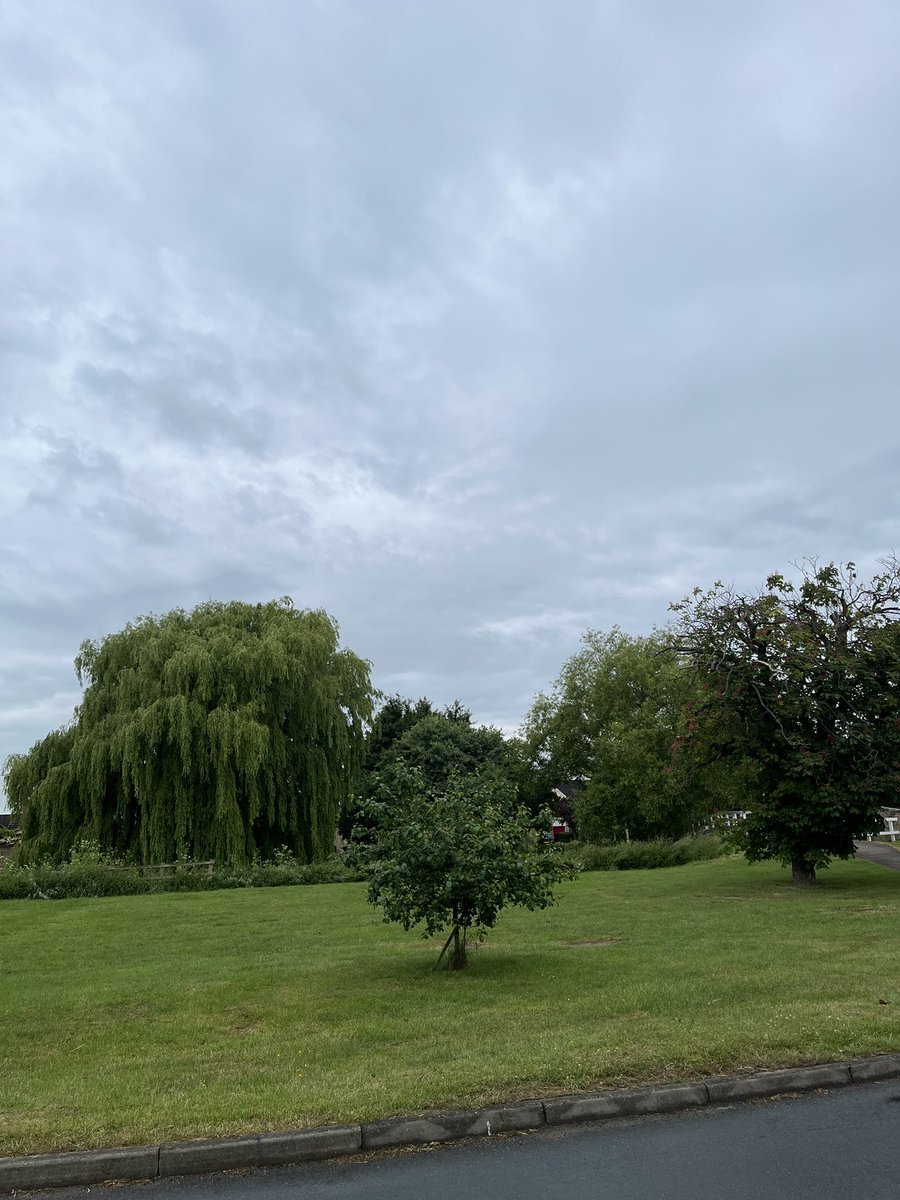 Gavin_human1's tweet photo. 7.30am and arrived at my first appointment and no one is here !! Fingers crossed they arrive soon. Sat outside with a lovely aspect and listening to all the birds #busyday @exquisitehomeuk #gavinhuman https://t.co/iEeIWrm066