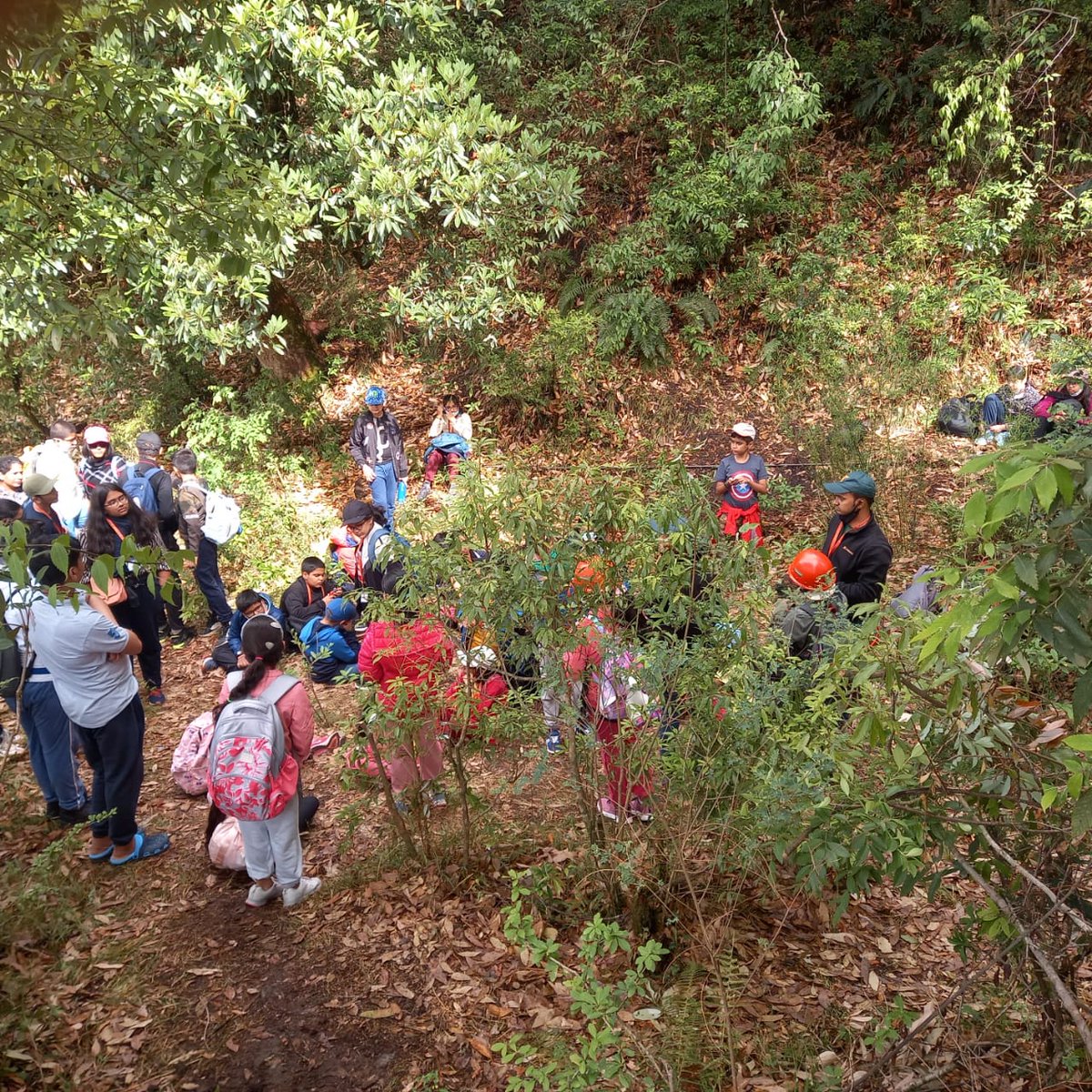 SalwanSchool's tweet photo. The school organised a Rocksport Residential Excursion programme for the students of Middle school from 22nd May to 26th May 2022 at Pangot, Nanital. It was an adventurous and educational excursion for the students. Sharing a glimpse of the trip.
#Nature #Rocksport #camp https://t.co/a7N3MUIVq5