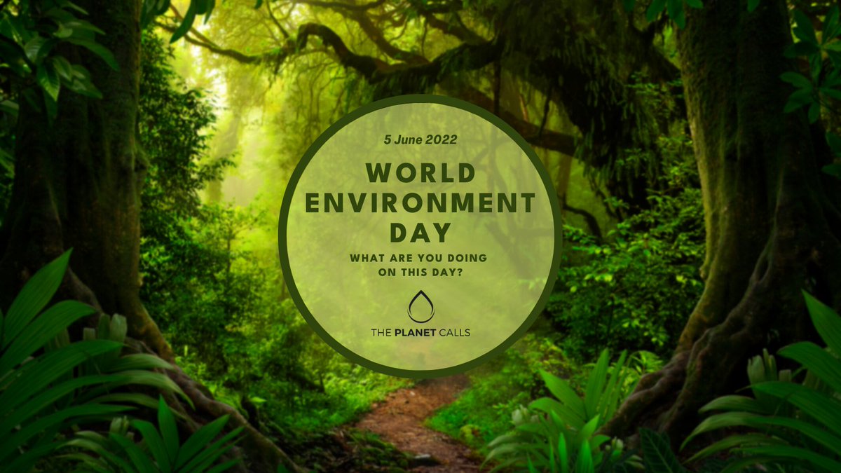 We are a few days away from World Environment Day, the United Nations' principal vehicle for encouraging awareness and action for the protection of the environment. Let us know in the comments what event you have prepared for this important day! #worldenvironmentday🌱