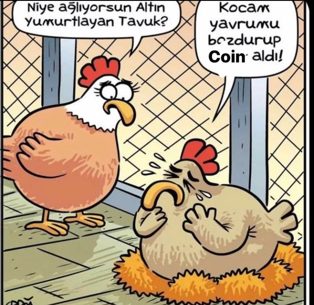 kriptostecoin's tweet photo. https://t.co/LrwacpoW0y