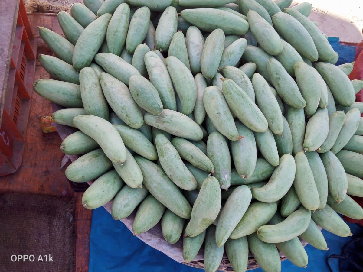 apurvgourav's tweet photo. Looking for a connection to help our #Farmers to support their Livelihood.
1. #Litchi ( Fruits)
2. #Karela ( Vegetable) Bittergourd
3. #Parbal ( Vegetable ) PointedGourd
Kindly Contact me for more Details on 9970506893
#Delhi #Mumbai #Pune #GoLocalBazar #Fruits #Vegetables https://t.co/udyLeXtvSE