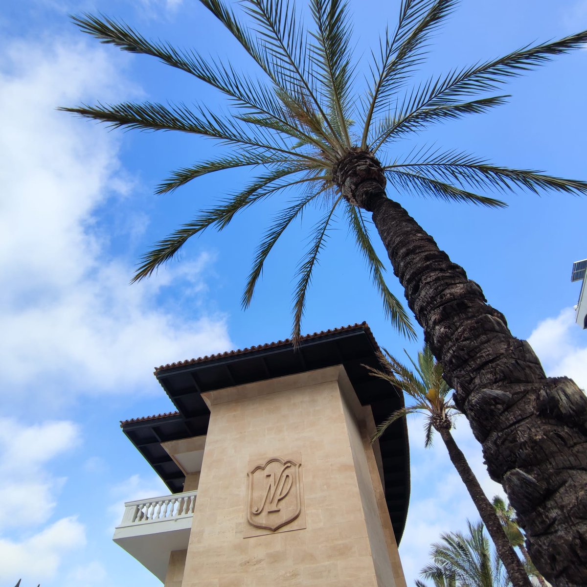 No lo llames sueño, llámalo tu proximo viaje ✈️
This is not a Dream, this is your next trip 🌴
#PalmadeMallorca #mallorca #tourism #travel #hotelnixepalace #hotelessantos #hotel #viajar #disfruta #paraiso #relax #playa #palmeras #arena #sol #verano #junio #beach #paradise