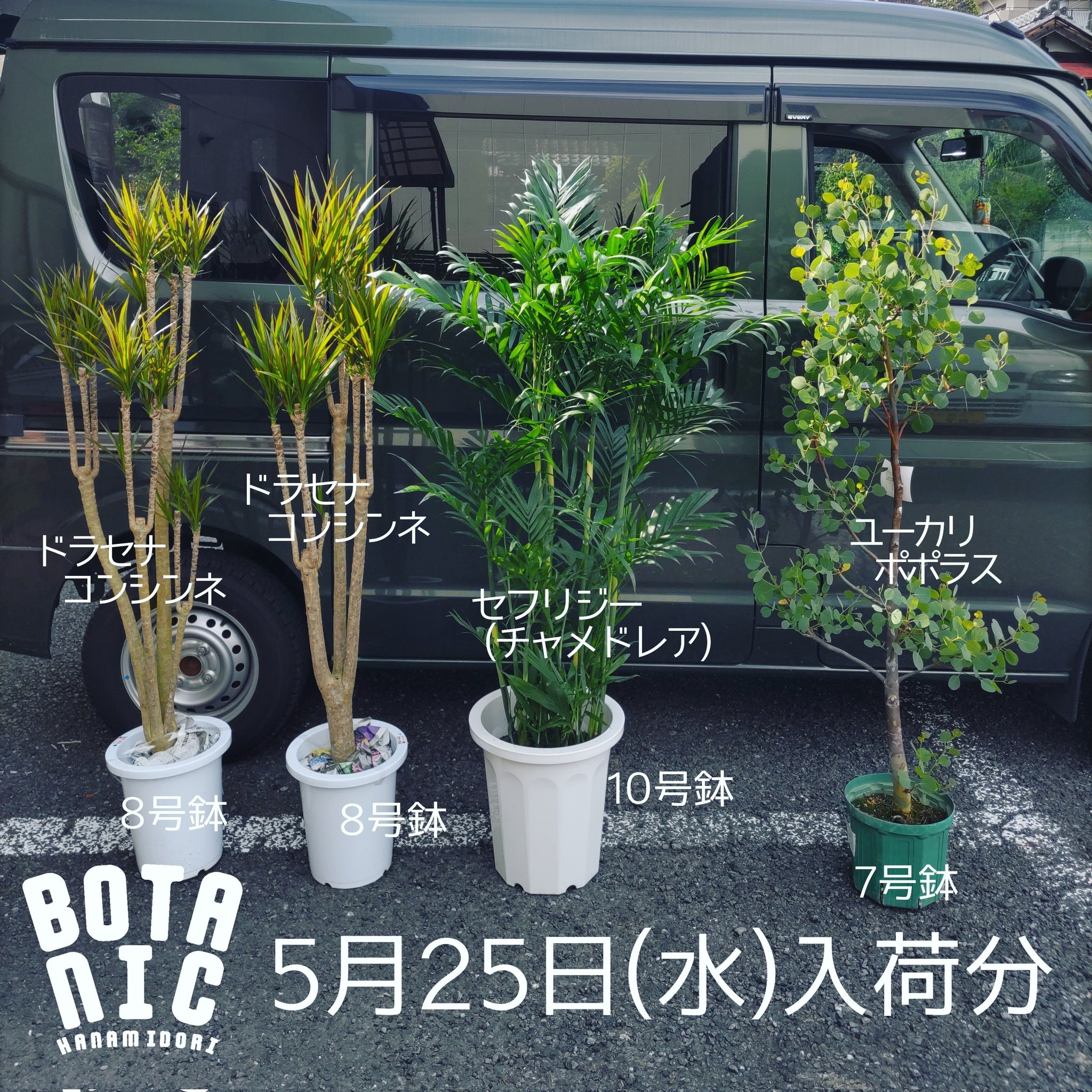 園芸専科 花見鳥 Hanamidori Cube878 Twitter